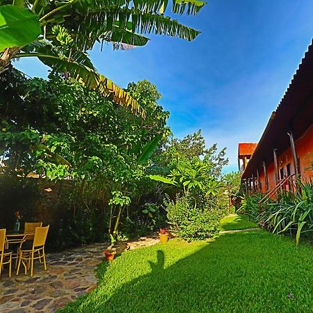 Alto Paraíso de Goiás Buddy'S Hostel & Pousada Alto Paraiso מראה חיצוני תמונה