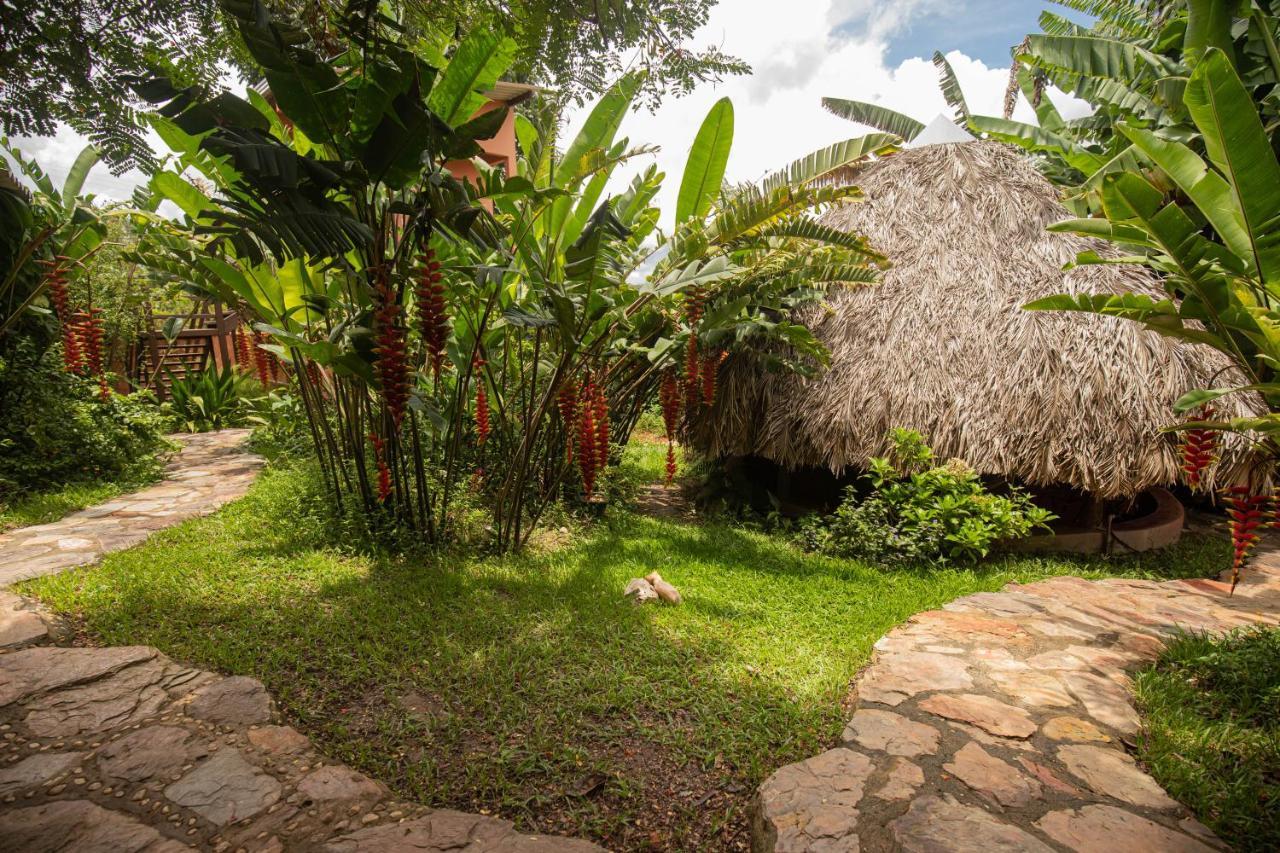 Alto Paraíso de Goiás Buddy'S Hostel & Pousada Alto Paraiso מראה חיצוני תמונה
