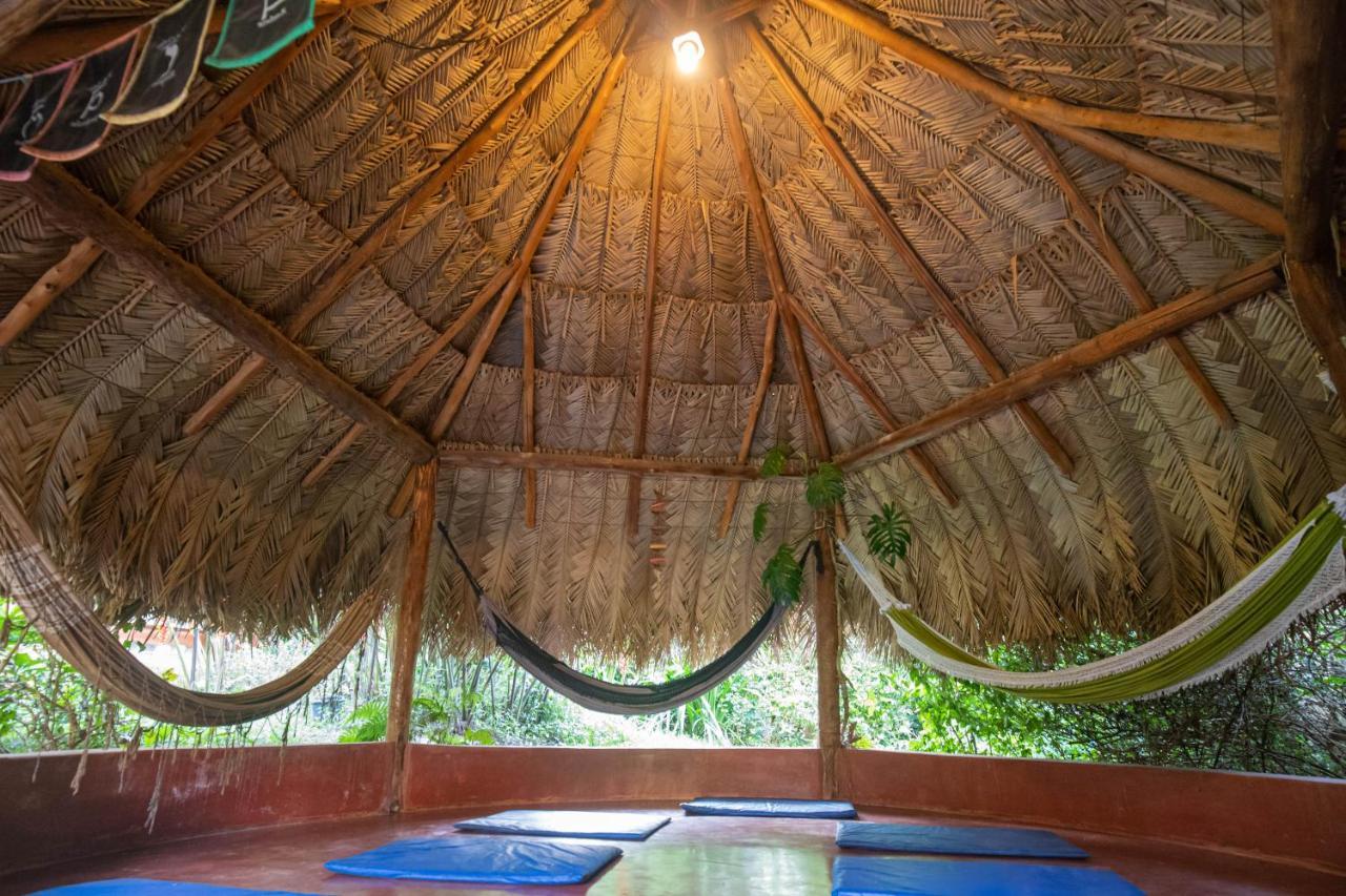 Alto Paraíso de Goiás Buddy'S Hostel & Pousada Alto Paraiso מראה חיצוני תמונה