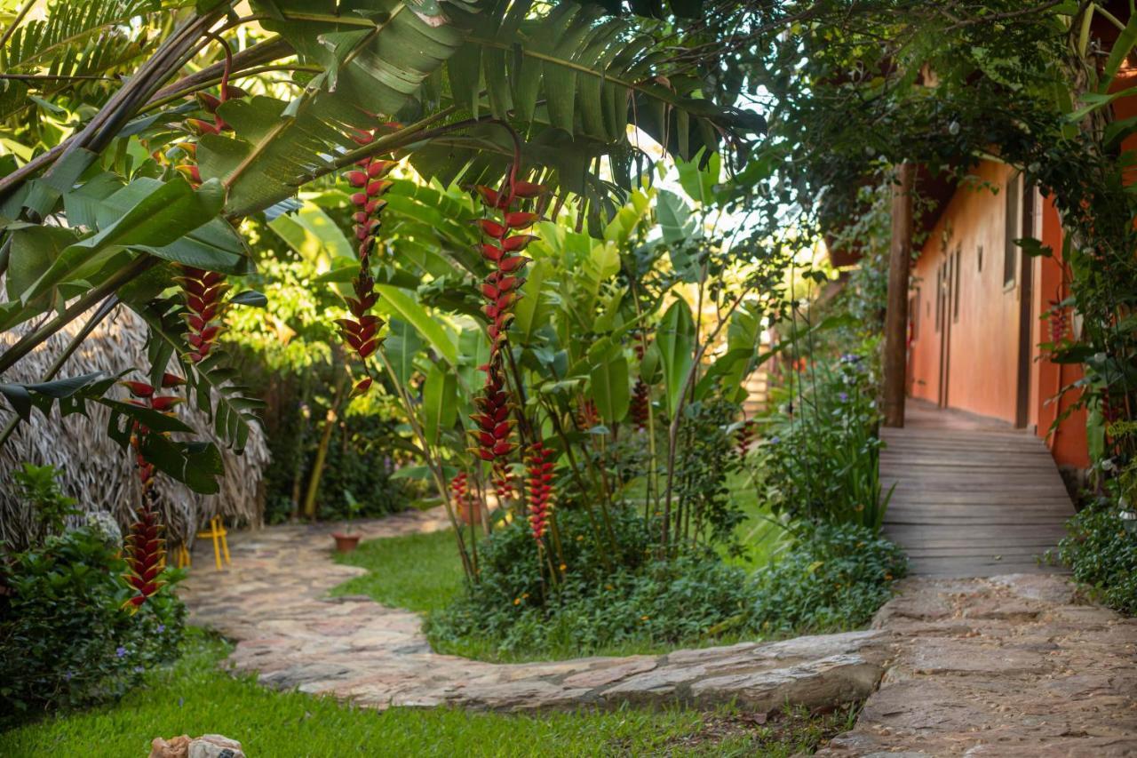 Alto Paraíso de Goiás Buddy'S Hostel & Pousada Alto Paraiso מראה חיצוני תמונה