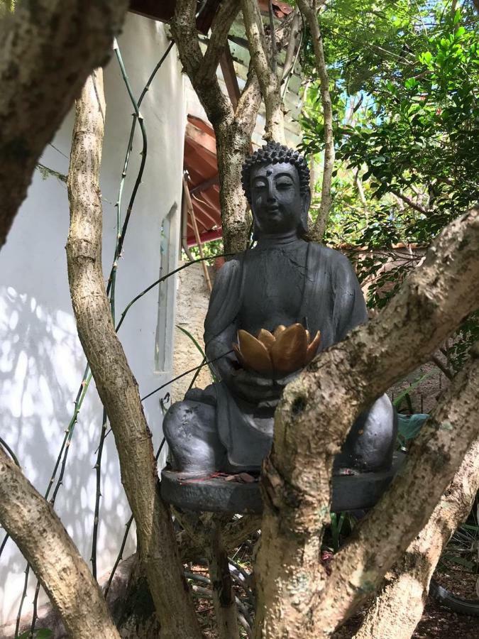 Alto Paraíso de Goiás Buddy'S Hostel & Pousada Alto Paraiso מראה חיצוני תמונה